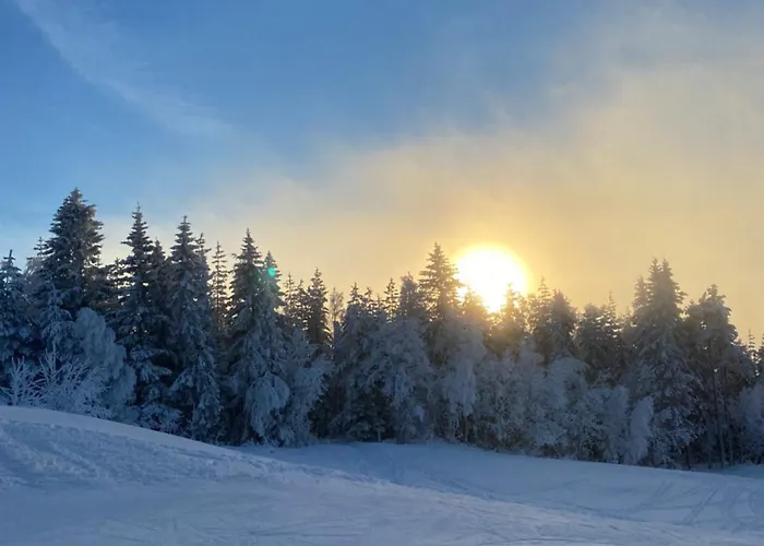 Rompelberg Boende I Raettvik